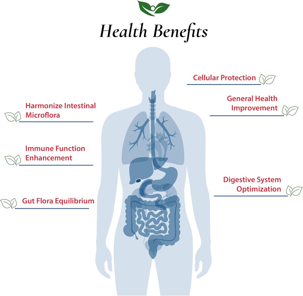 foods-for-gut-lactobacillus-lactis-probi-4.jpg