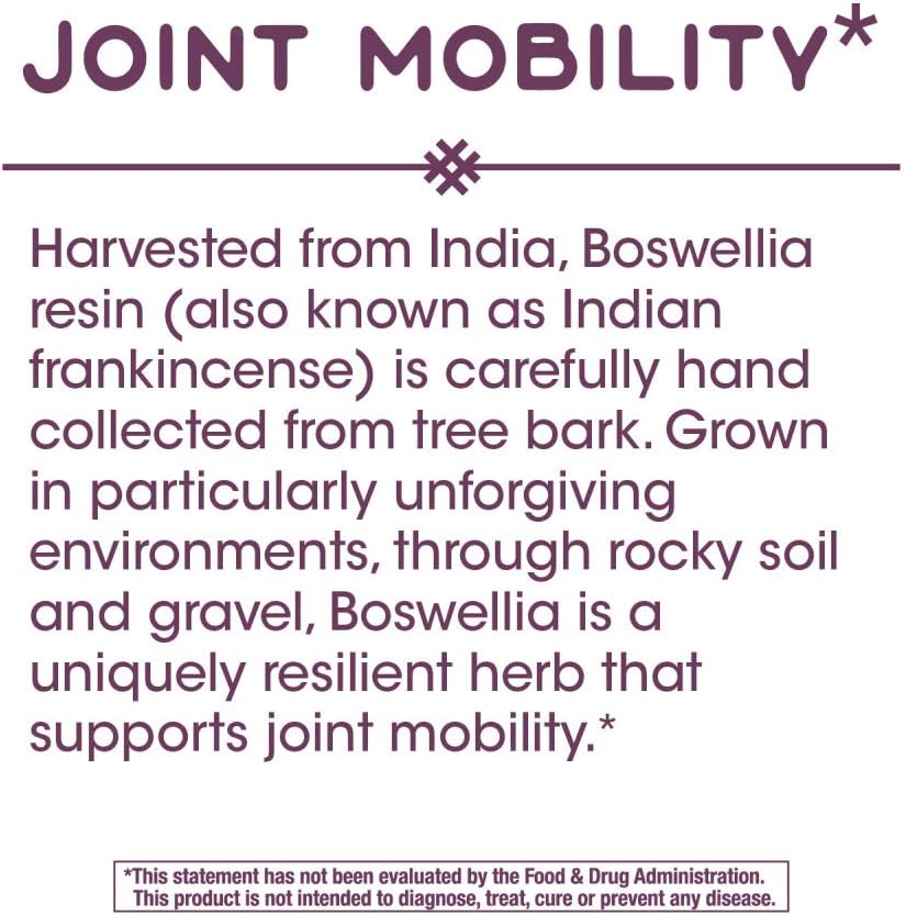 natures-way-standardized-boswellia-40-bo-4.jpg