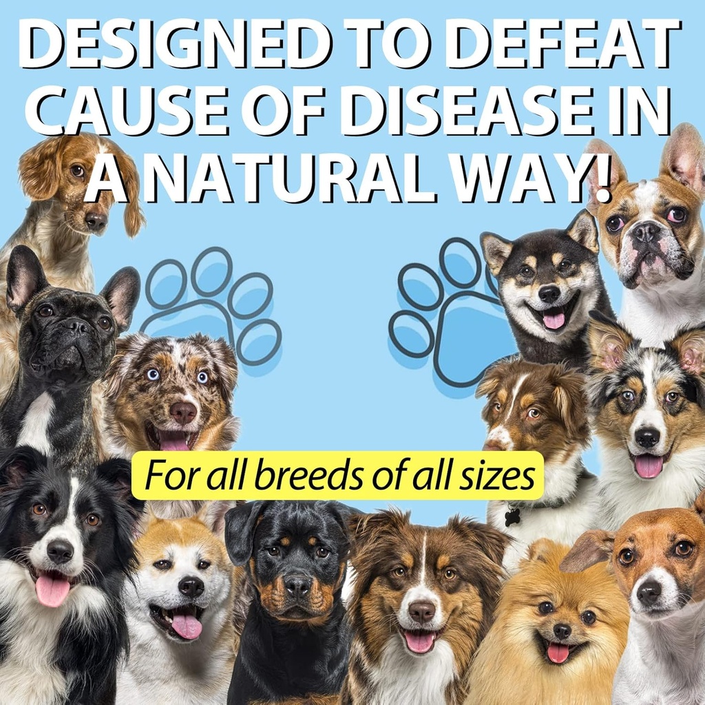 kennel-cough-for-dogs--kennel-cough-trea-5.jpg