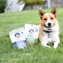 under-the-weather-bland-diet-for-dogs-ea-4.jpg
