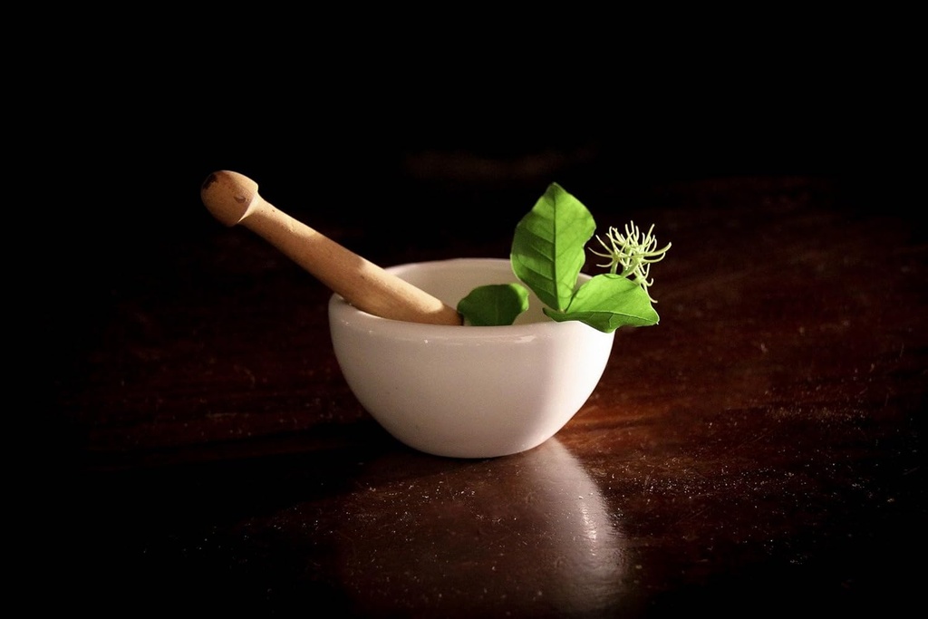 svasthya-body-mind-astragalus-membranace-2.jpg