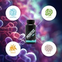 sculpt-nation-by-v-shred-probiotics-and--3.jpg