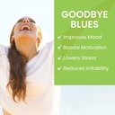 himalaya-hello-joy-herbal-supplement-wit-3.jpg