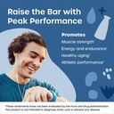 fx-yes-whey-bar---15g-whey-protein-bar-w-2.jpg