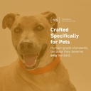 new-international-veterinary-sciences-iv-5.jpg