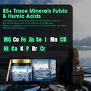 m-inch-600mg-shilajit-pure-siberia-organ-6.jpg