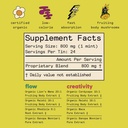 supermush-daily-supplemint---2-flow-focu-4.jpg