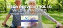 mega-resveratrol-red-grape-skin-piceid-r-5.jpg