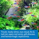 api-2-pack-of-fin-and-body-cure-freshwat-5.jpg