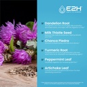 e2h-liver-support-supplement-2-pack---4--3.jpg
