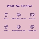 mysimplepetlab-dog-ear-infection-test-ki-4.jpg