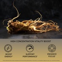 orzax-ginseng-30-ginsenosides-premium-12-4.jpg