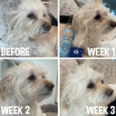 bodhi-dog-tear-stain-remover-tear-stain--6.jpg