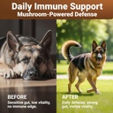 wuffwell-turkey-tail-mushrooms-for-dogs--4.jpg