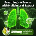 2-pack-mullein-drops-for-lungs-16-in-1-m-4.jpg