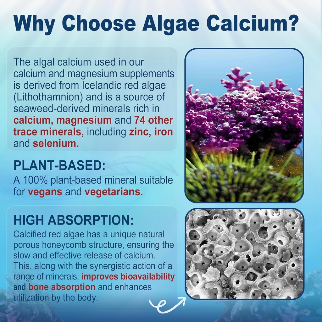 sugar-free-calcium-supplement-600mg-alga-3.jpg