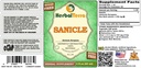herbal-terra-sanicle-sanicula-europaea-g-2.jpg