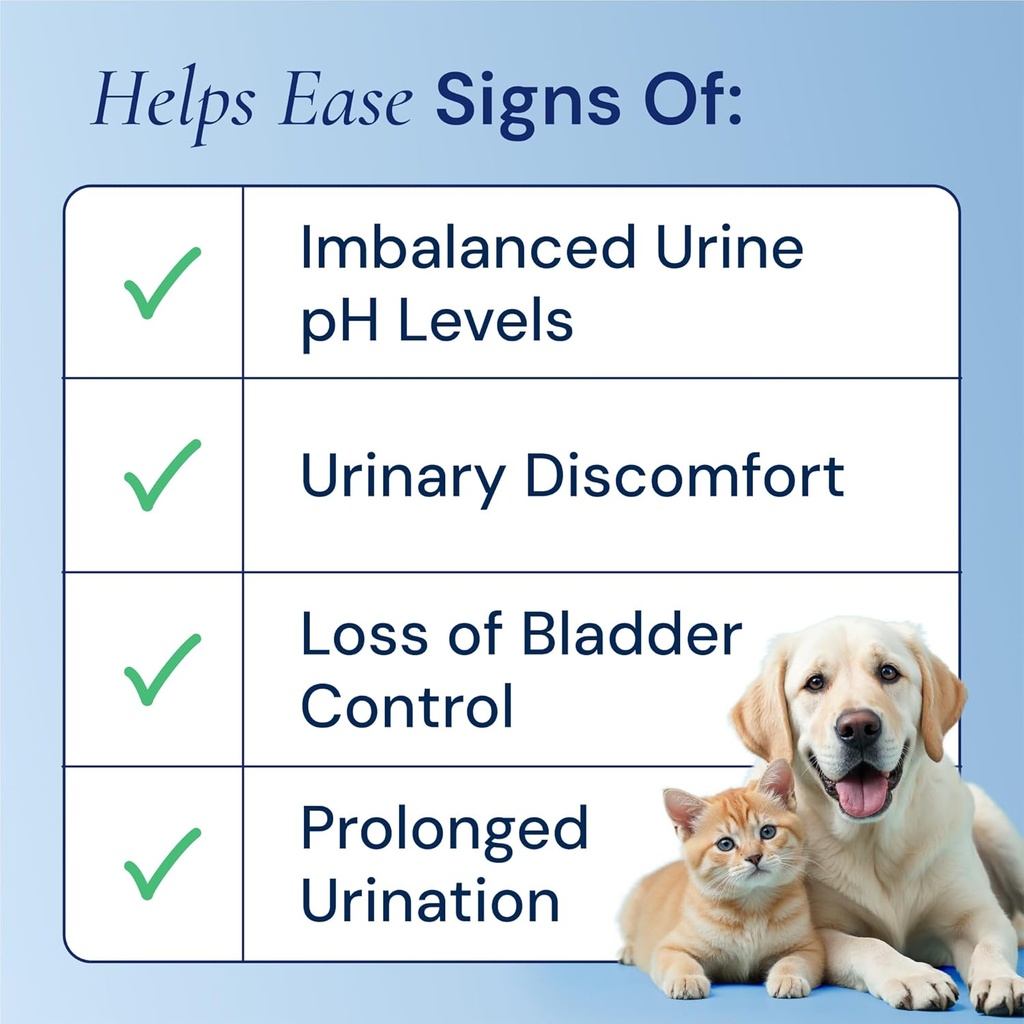 cat-dog-uti-treatment---uti-medicine-uri-4.jpg
