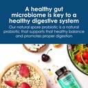 capsuline-advanced-probiotic-de111-strai-5.jpg