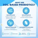probiotics-for-women-men-digestive-healt-3.jpg