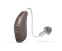 hearing-aid-domes-smoky-gray-tips-ear-pi-2.jpg