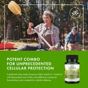 swanson-indole-3-carbinol-with-resveratr-6.jpg