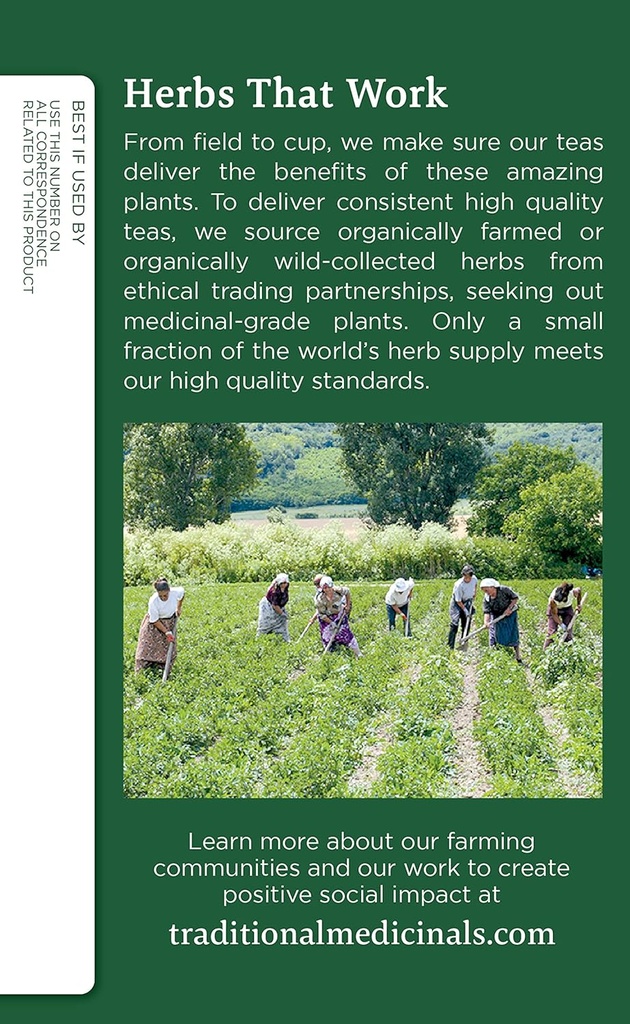 traditional-medicinals-organic-nettle-le-5.jpg