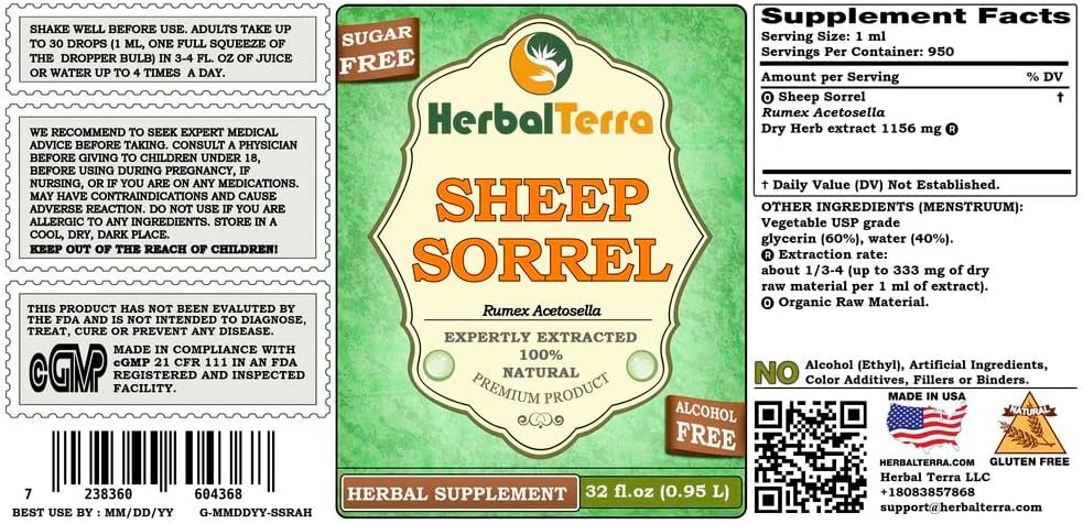 sheep-sorrel-rumex-acetosella-glycerite--2.jpg