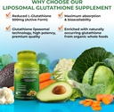 complete-plant-based-antioxidant-immune--2.jpg