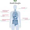 foods-for-gut-lactobacillus-helveticus-p-2.jpg