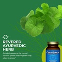 healthforce-superfoods-circuforce-brain--6.jpg