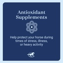 e5000-powder-vitamin-e-for-horses-antiox-4.jpg