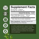 Bundle of Pure Green Coffee Bean Extract with 50% Chlorogenic Acid for Antioxidant Heart Health Mental Focus and Tasty Fiber Gummies with Prebiotic Soluble Chicory Root for Immunity Digestive Support 3