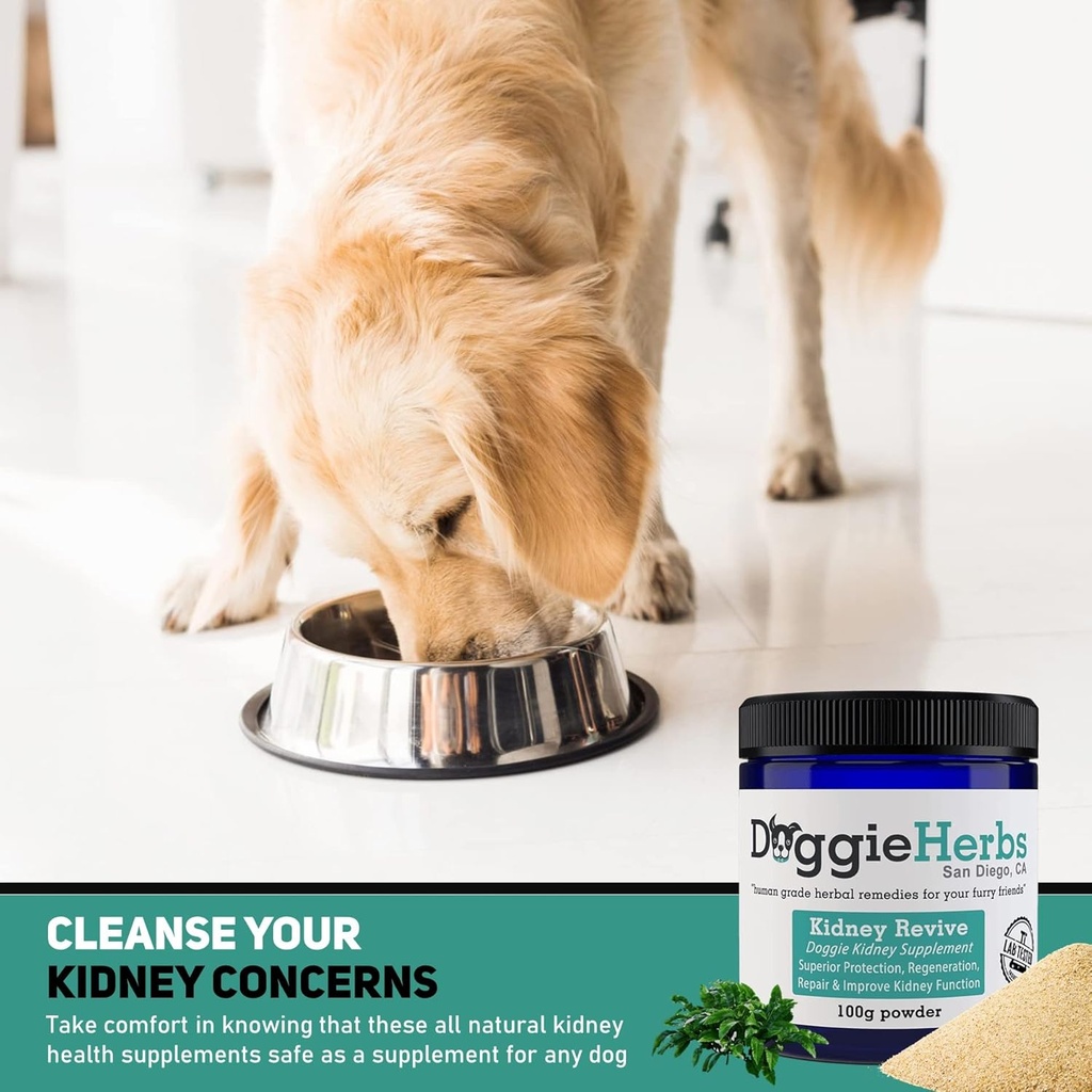 certified-organic-kidney-revive---100-he-4.jpg