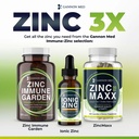 zinc-maxx-100-capsules-zinc-gluconate-im-4.jpg