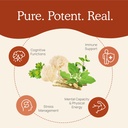 real-mushrooms-realclarity-60ct-and-chag-4.jpg