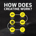 ascent-clean-creatine-monohydrate-powder-4.jpg