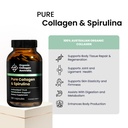 organic-collagen-australia-pure-collagen-2.jpg