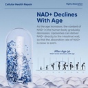 nad-supplement-1000-mg-pure-organic-high-6.jpg