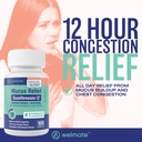 welmate-respiratory-relief-bundle-maximu-3.jpg