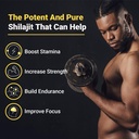 pure-himalayan-shilajit-gummies-micronut-5.jpg