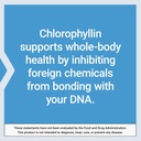 life-extension-chlorophyllin-antioxidant-6.jpg