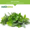 naturalma-echinacea-echinacea-angustifol-4.jpg