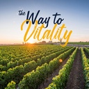 vitalitown-organic-milk-thistle-antioxid-6.jpg