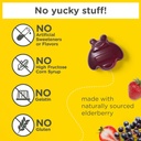 zarbee-s-no-sugar-coating-elderberry-gum-4.jpg