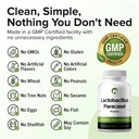 lactobacillus-paracasei-probiotic-240-ta-3.jpg