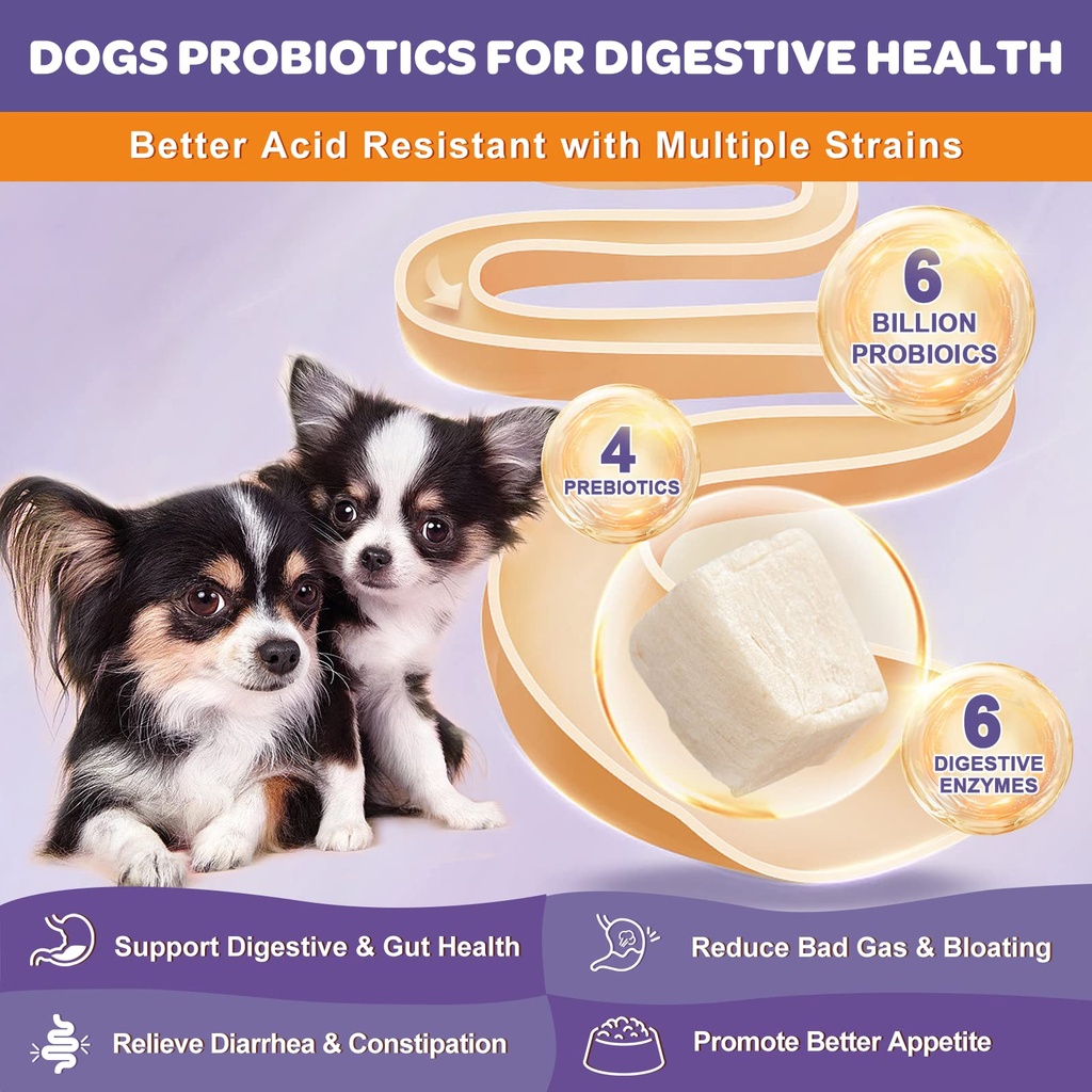 probiotics-for-dogs-glucosamine-for-dogs-2.jpg