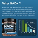 2010-mg-nad-supplement-nicotinamide-ribo-3.jpg