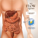 dr-clark-arginine-500mg-100-gelatin-gela-6.jpg