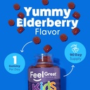 feel-great-vitamin-co-elderberry-gummies-3.jpg